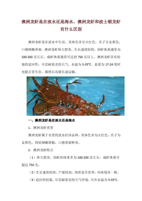 澳洲龙虾是在淡水还是海水,澳洲龙虾和波士顿龙虾有什么区别