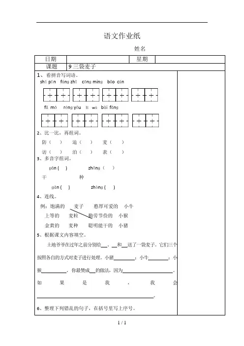 9《-三袋麦子》课后练习