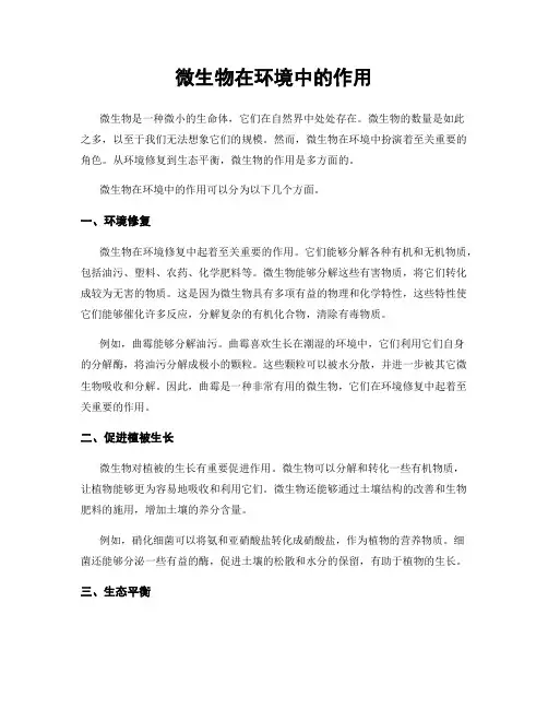 微生物在环境中的作用
