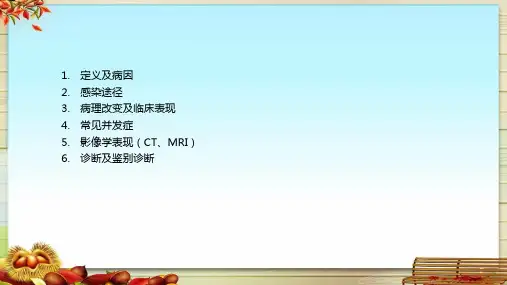 肝脓肿影像诊断及鉴别诊断课件演示文稿