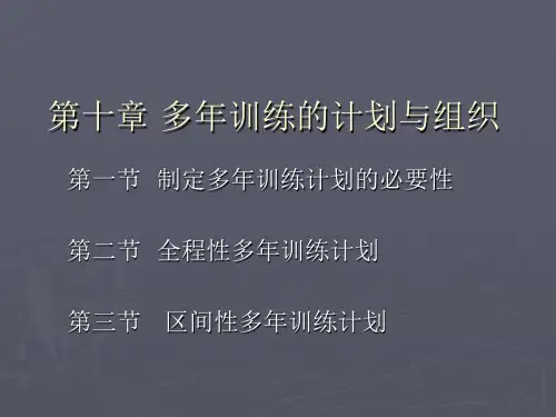 多年训练计划