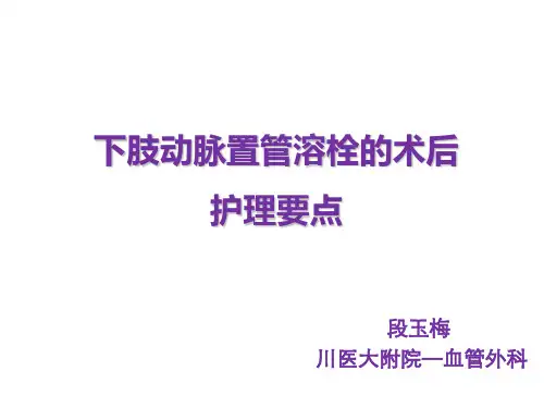下肢动脉置管溶栓的护理_要点说明