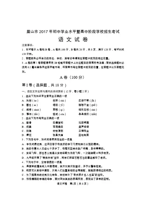【中考试卷】四川眉山市2017年中考语文试题(含答案)