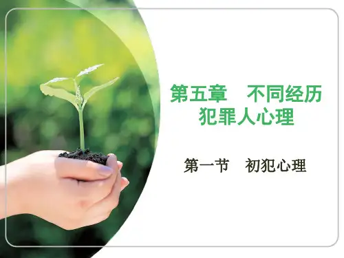 第五章不同经历犯罪人心理S资料教程