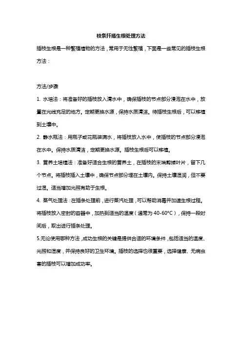 枝条扦插生根处理方法