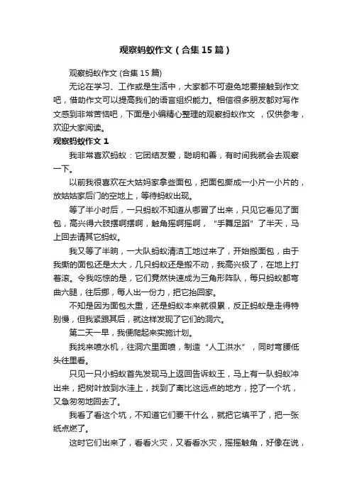 观察蚂蚁作文（合集15篇）