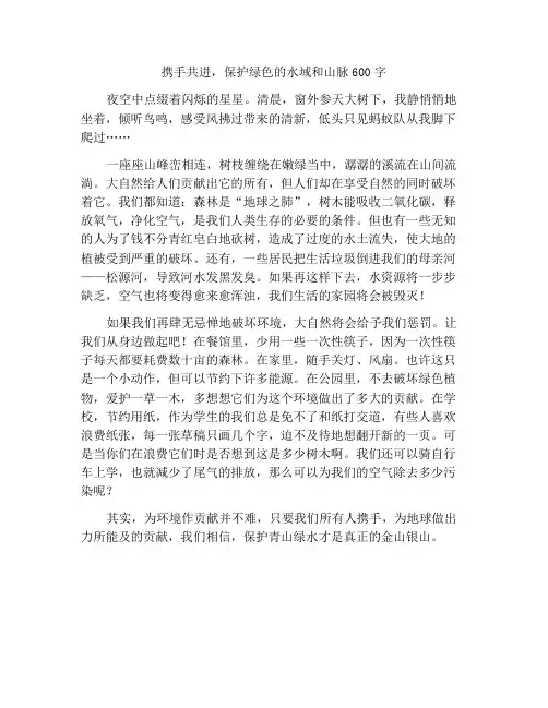 携手共进,保护绿水青山作文600字