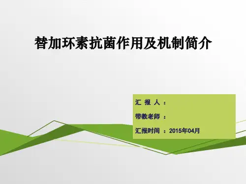 替加环素介绍