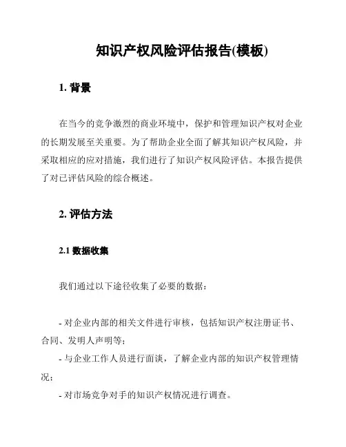 知识产权风险评估报告(模板)