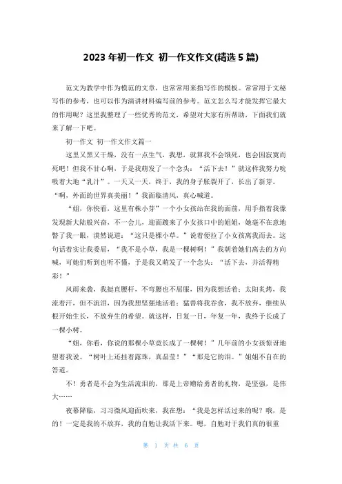 2023年初一作文 初一作文作文(精选5篇)