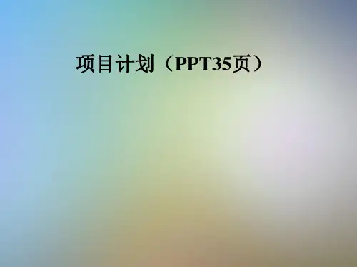 项目计划(PPT35页)
