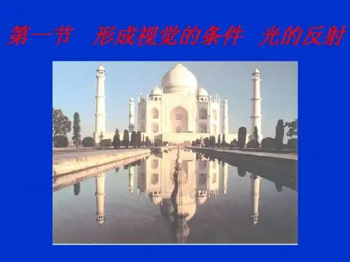 光的反射