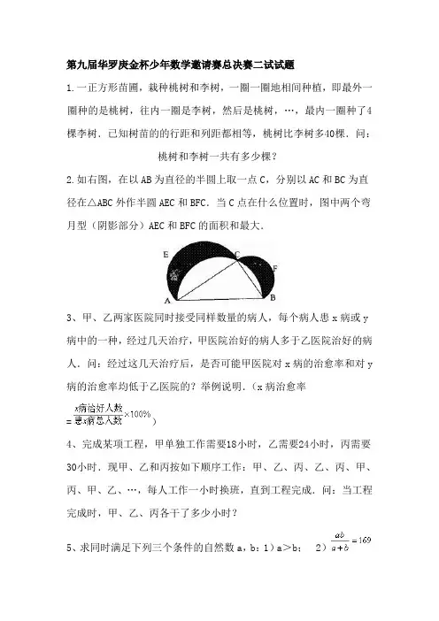 第九届华罗庚金杯少年数学邀请赛总决赛二试试题