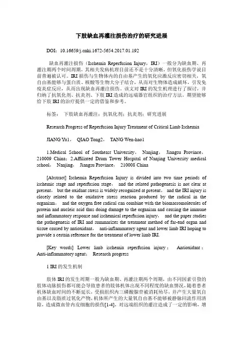 下肢缺血再灌注损伤治疗的研究进展