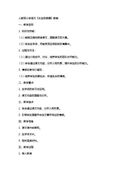 人教版小学语文《永生的眼睛》教案 