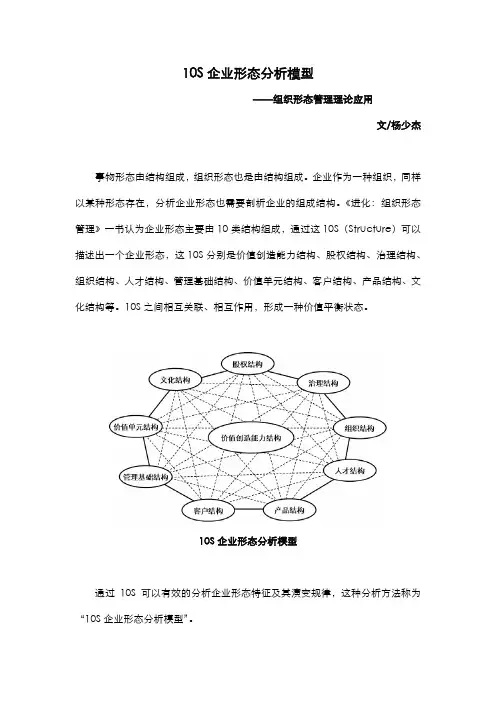 10S企业形态分析模型(杨少杰)