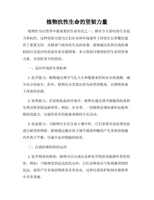 植物抗性生命的坚韧力量