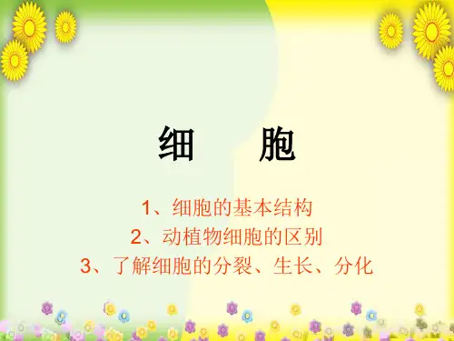 (青岛版)小学科学六下《 细胞》PPT课件(同课异构) (2)