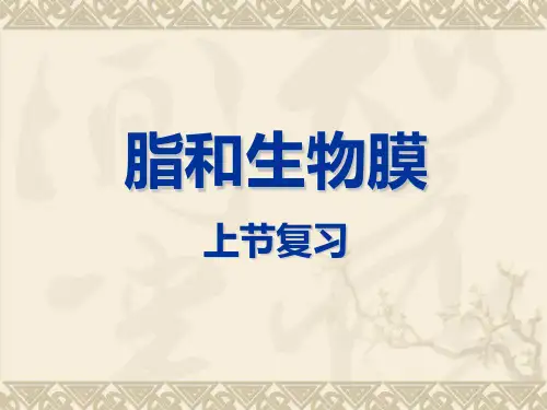 生物化学A(上)-12糖与糖生物化学1