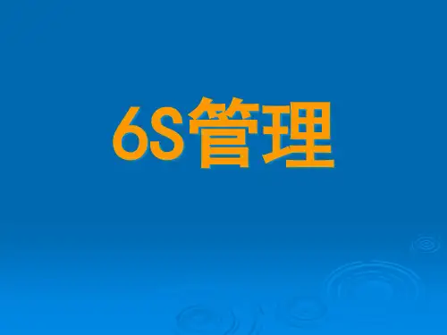 精选6S管理培训教材gub