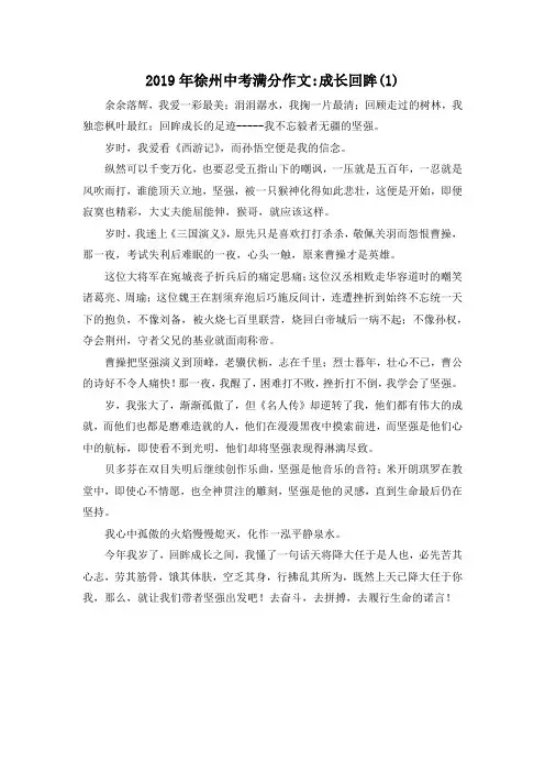 中考作文-2019年徐州中考满分作文-成长回眸(1) 精品
