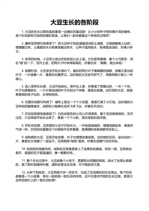 大豆生长的各阶段