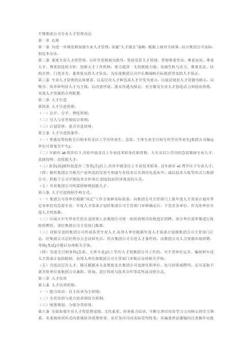 平煤集团公司专业人才管理办法