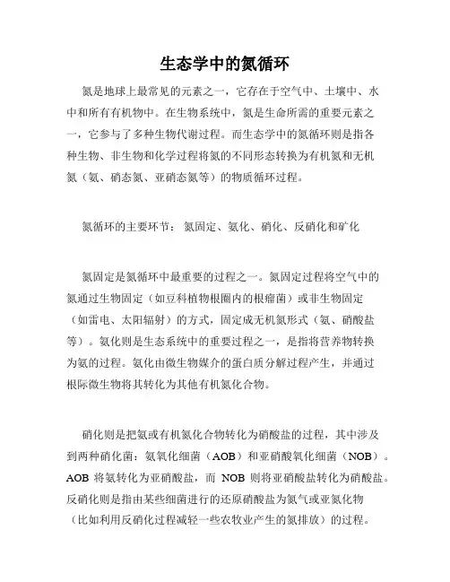 生态学中的氮循环