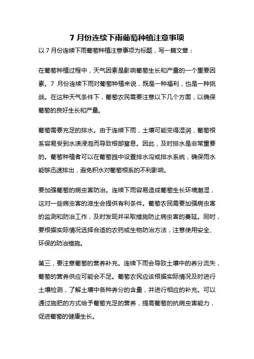 7月份连续下雨葡萄种植注意事项