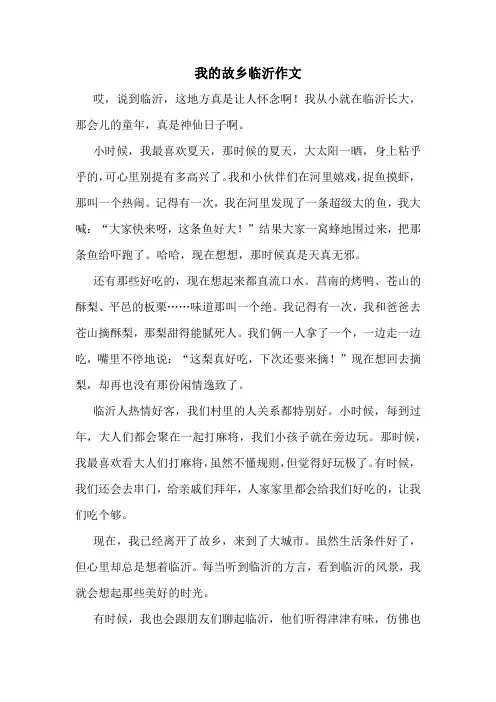我的故乡临沂作文