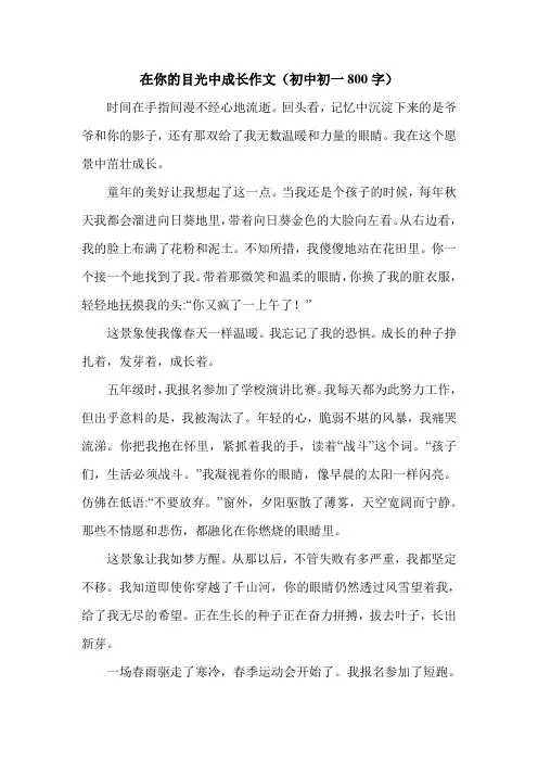 在你的目光中成长作文(初中初一800字).doc