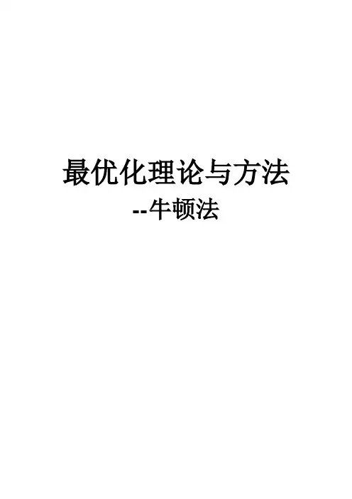 用牛顿法求解