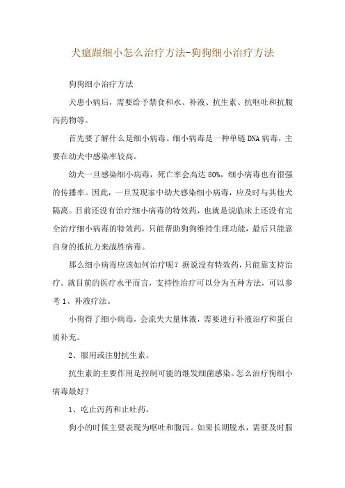 犬瘟跟细小怎么治疗方法-狗狗细小治疗方法