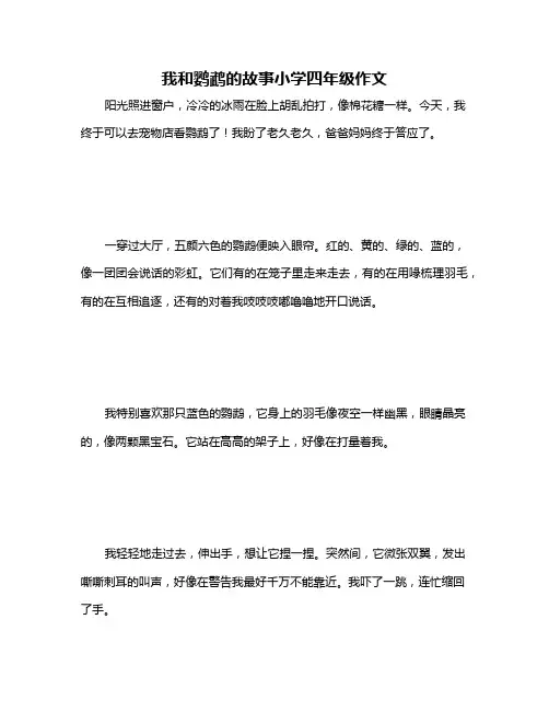 我和鹦鹉的故事小学四年级作文