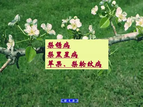 农业植保 PPT课件