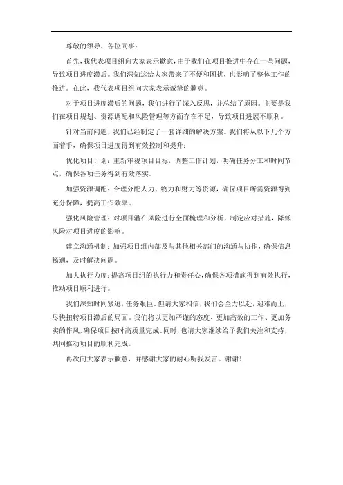 项目推进靠后的表态发言简短