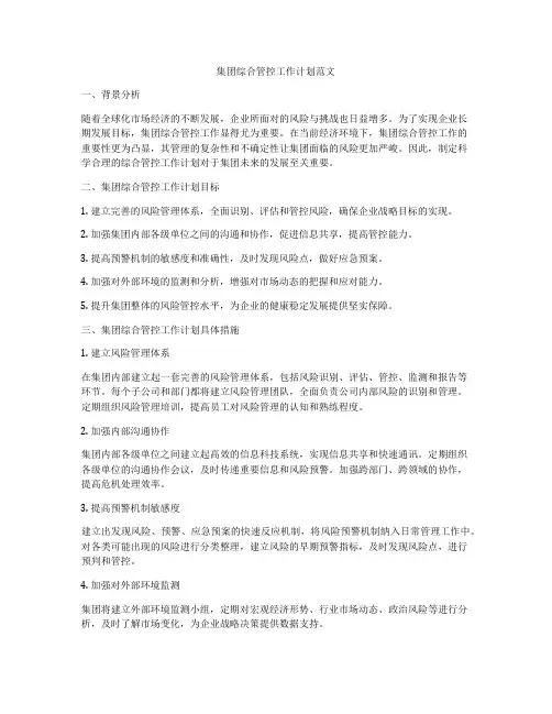 集团综合管控工作计划范文