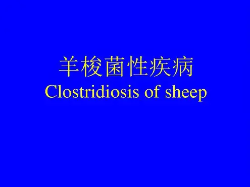羊的梭菌性疾病