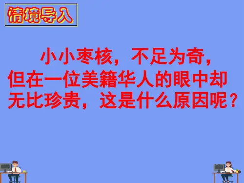 枣核课件_图文完美版PPT