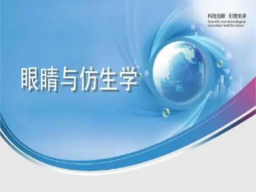 眼睛与仿生学