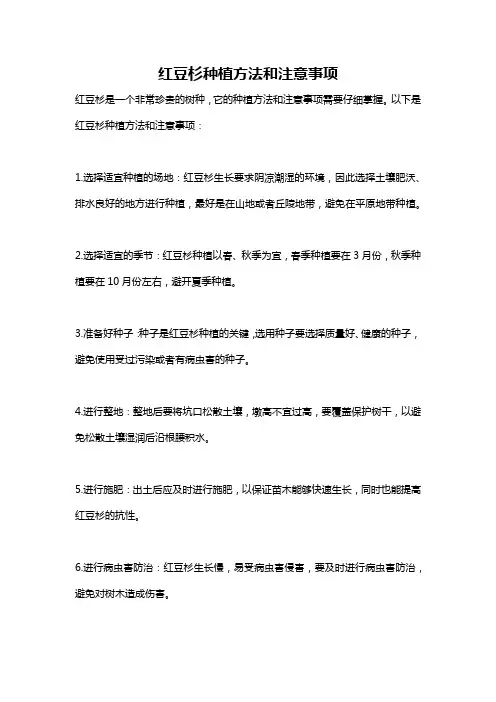 红豆杉种植方法和注意事项