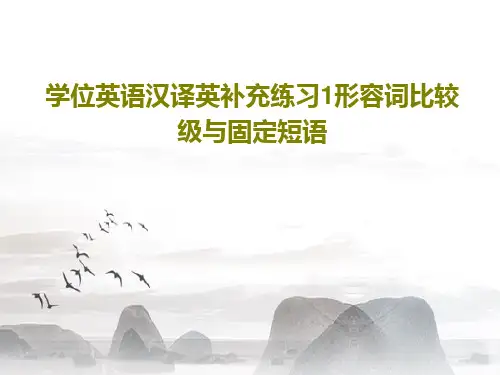 学位英语汉译英补充练习1形容词比较级与固定短语共29页