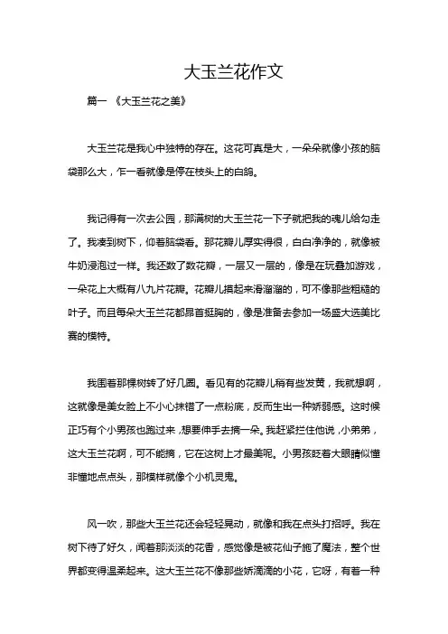 大玉兰花作文