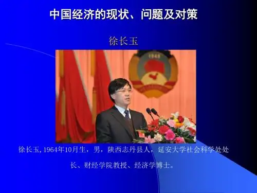 中国经济的现状、问题及对策  徐长玉(1)-文档资料