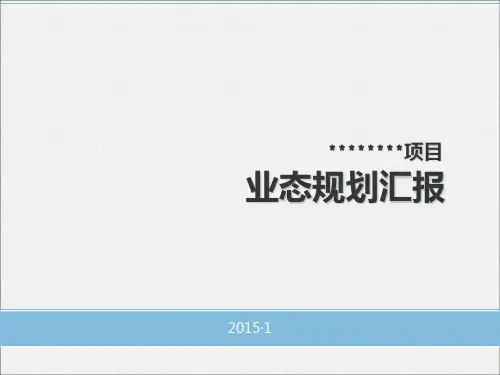 项目业态规划汇报 