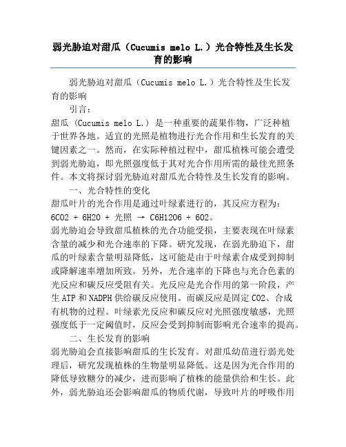 弱光胁迫对甜瓜(Cucumis melo L.)光合特性及生长发育的影响