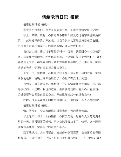 情绪觉察日记 模板