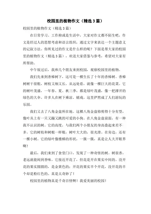 校园里的植物作文(3篇)