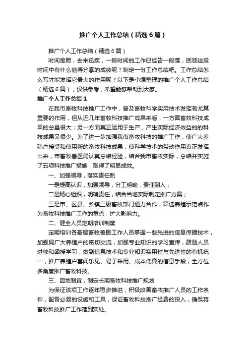 推广个人工作总结（精选6篇）