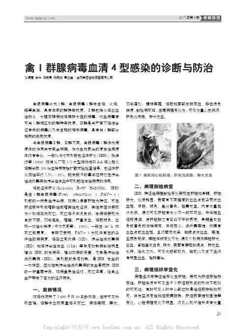 禽Ⅰ群腺病毒血清4型感染的诊断与防治